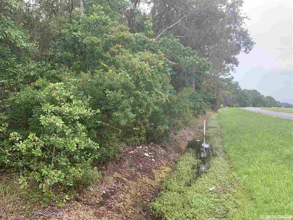 Micanopy, FL 32667,TBD HWY 441 S