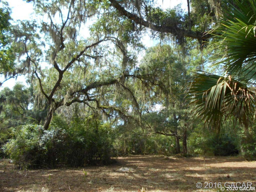 Micanopy, FL 32667,120 NE Evans CT