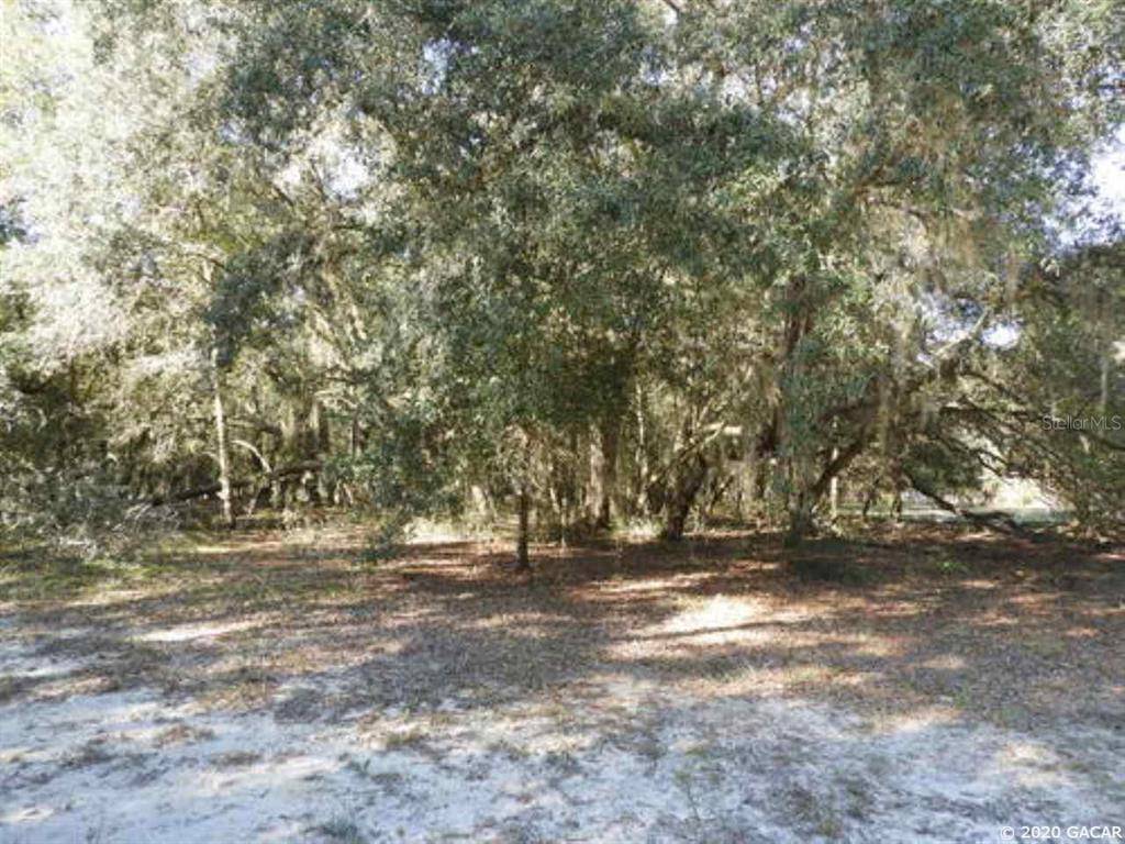 Melrose, FL 32666,154 Wall Lake DR