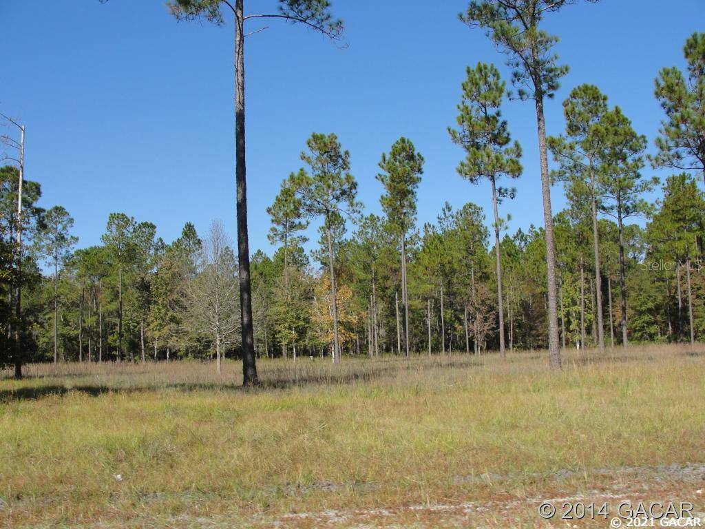 Lake Butler, FL 32054,TBD SE 161st  Lot# 23 RUN