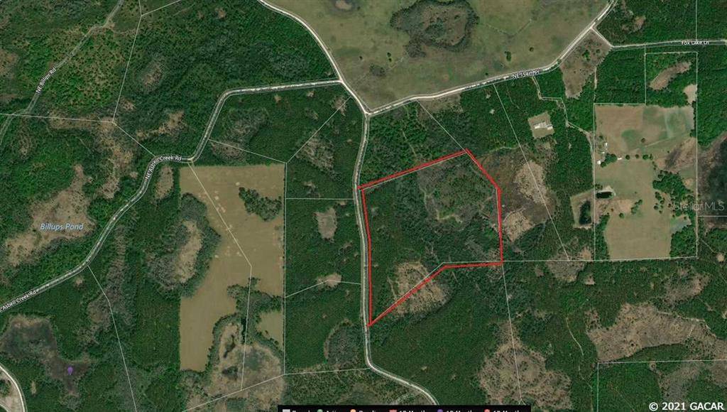 Chiefland, FL 32626,TBD just off NE Asbell Creek RD