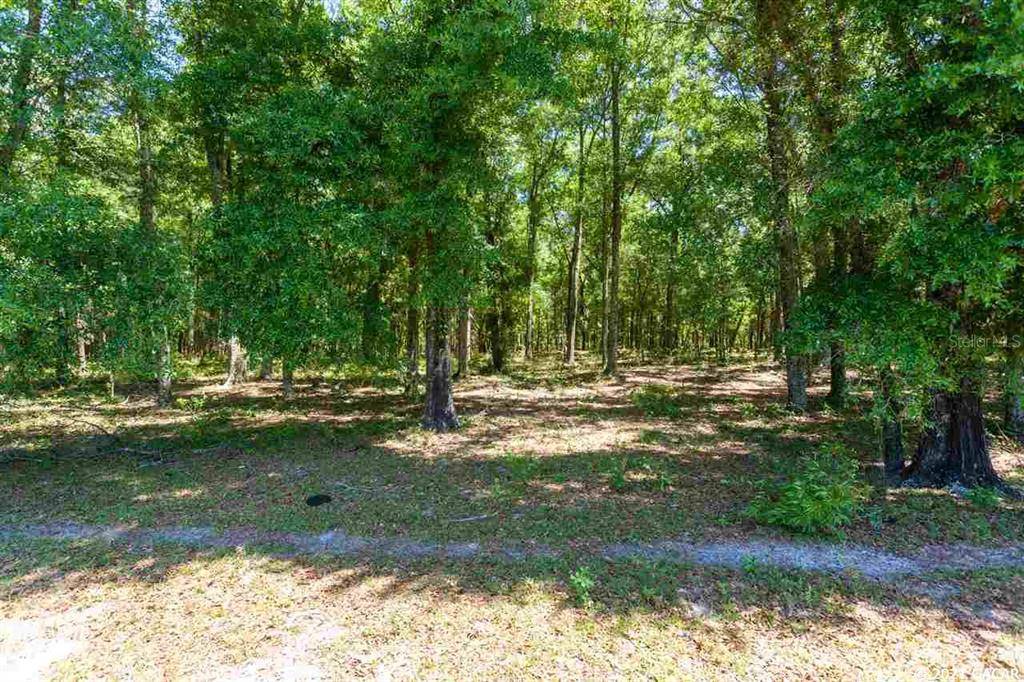 High Springs, FL 32643,00000 NW 266th ST #Lot 1