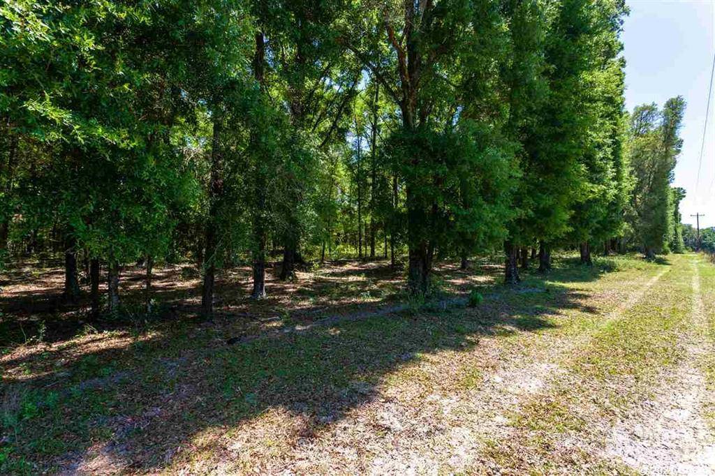 High Springs, FL 32643,00000 NW 266th ST #Lot 1