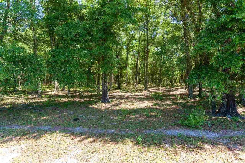 High Springs, FL 32643,0000 NW 266th ST #Lot 2