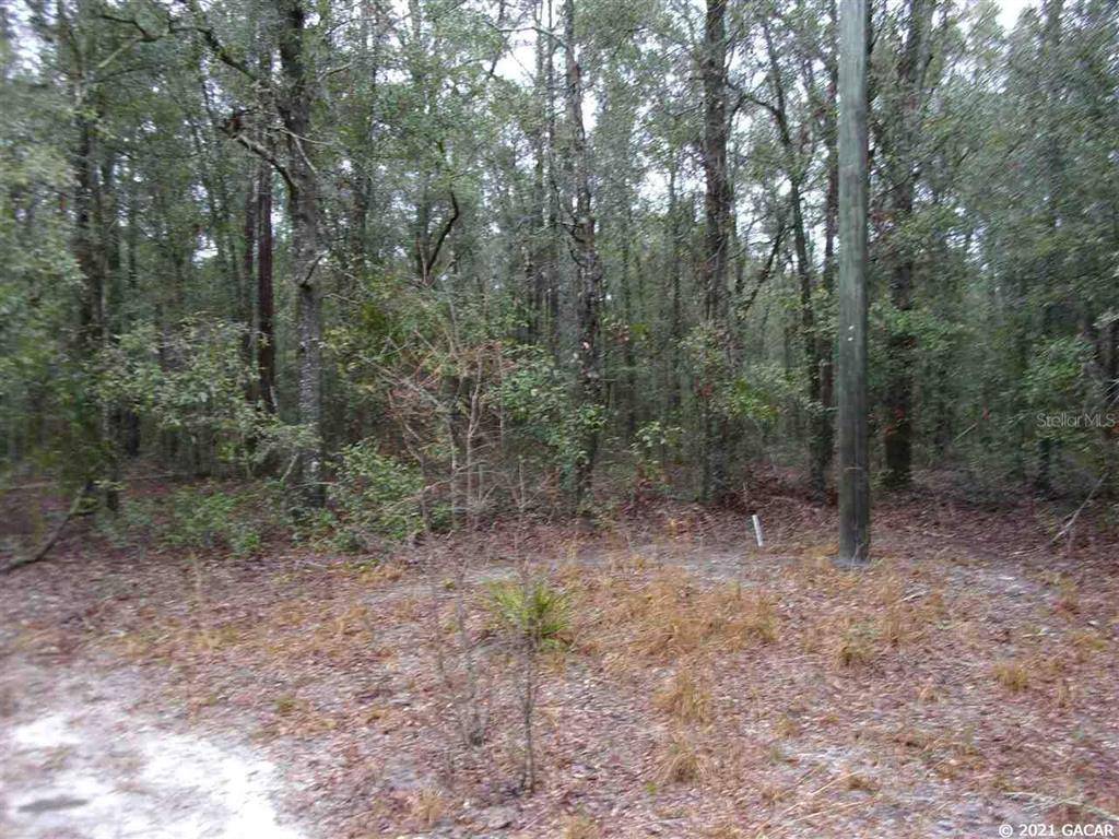 Mcalpin, FL 32062,4 Acres 178th TER