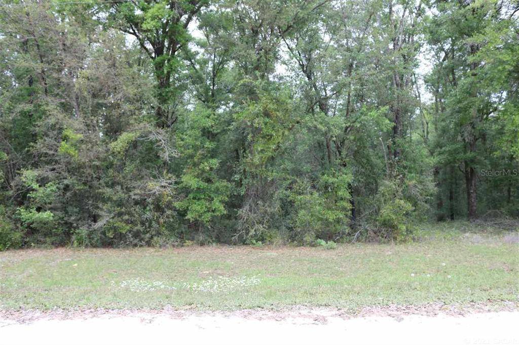 Ft. White, FL 32038,000 Homestead CIR