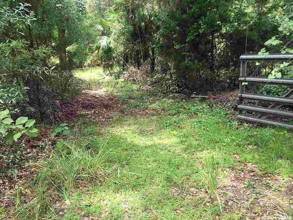 Micanopy, FL 32667,111 SW 1st AVE