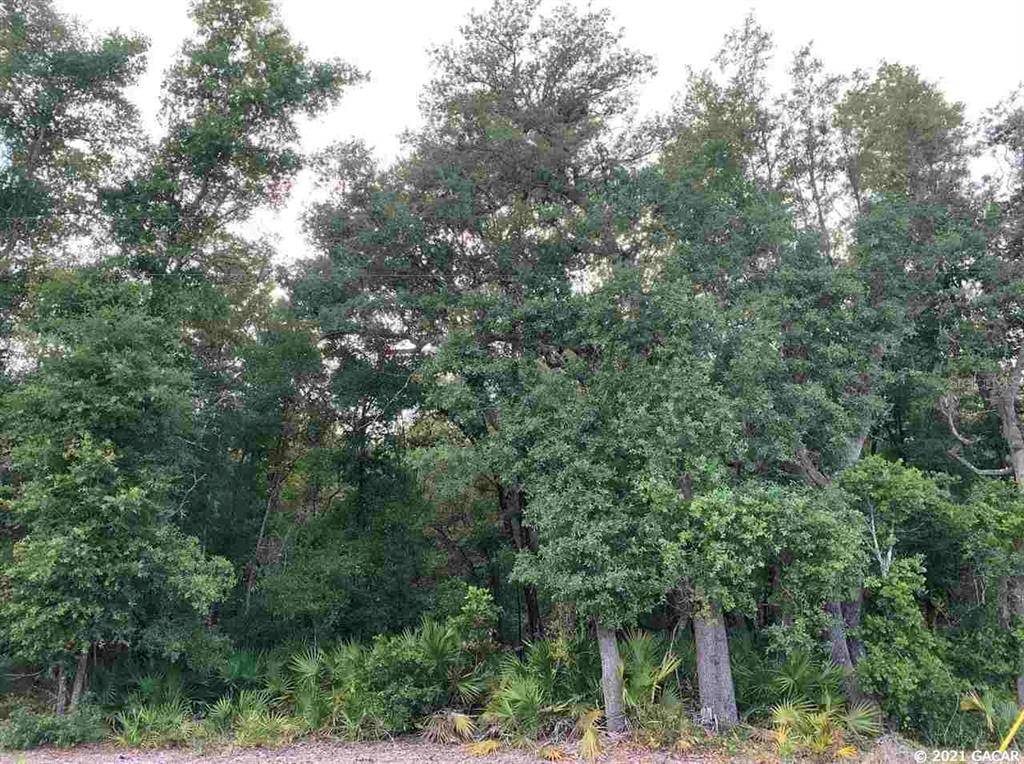 Interlachen, FL 32148,117 Gas Easement RD