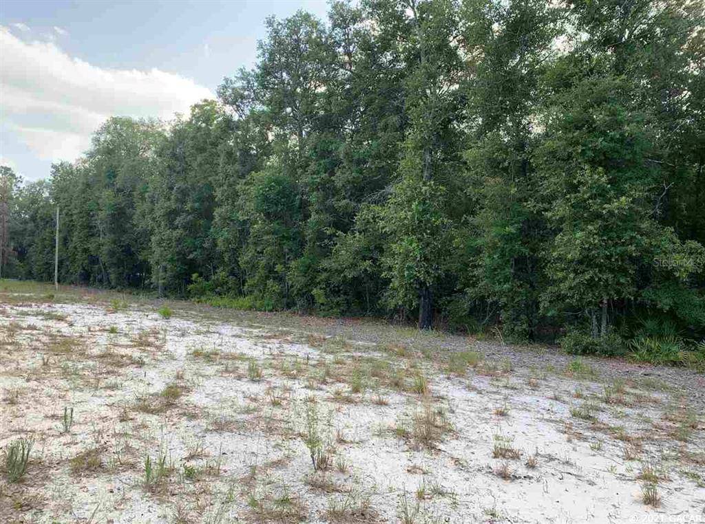 Interlachen, FL 32148,117 Gas Easement RD