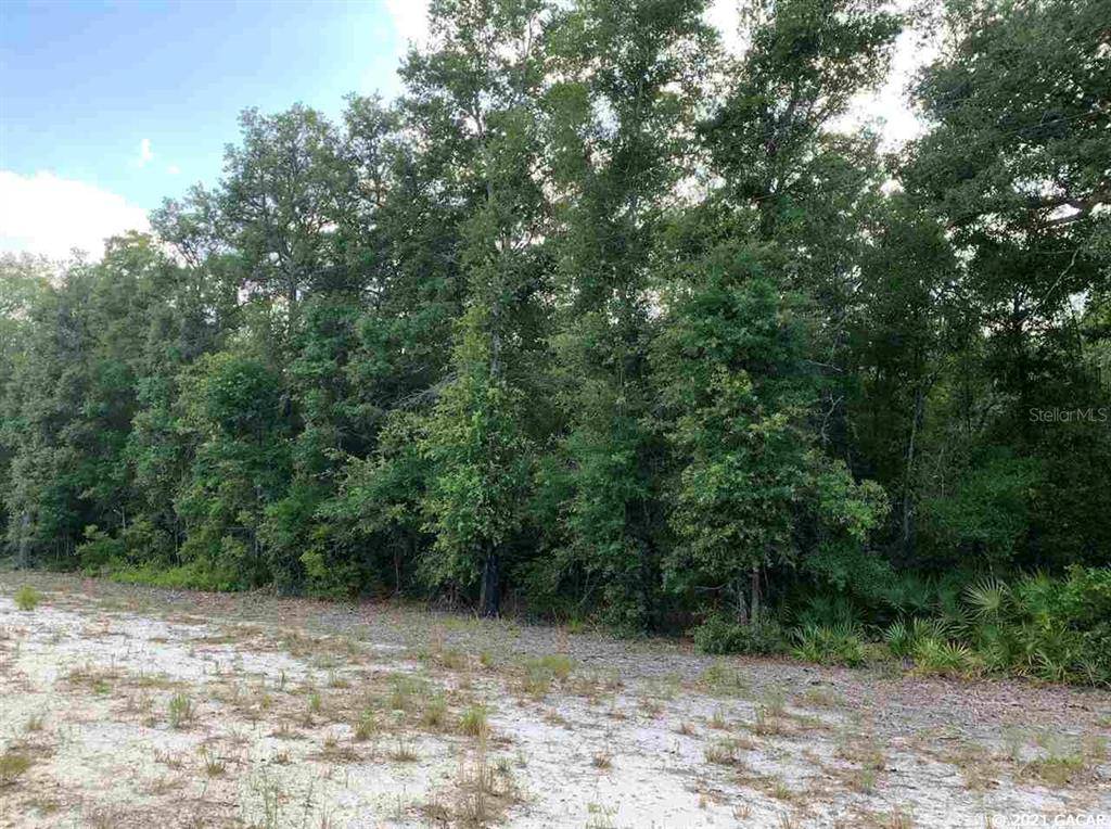 Interlachen, FL 32148,117 Gas Easement RD