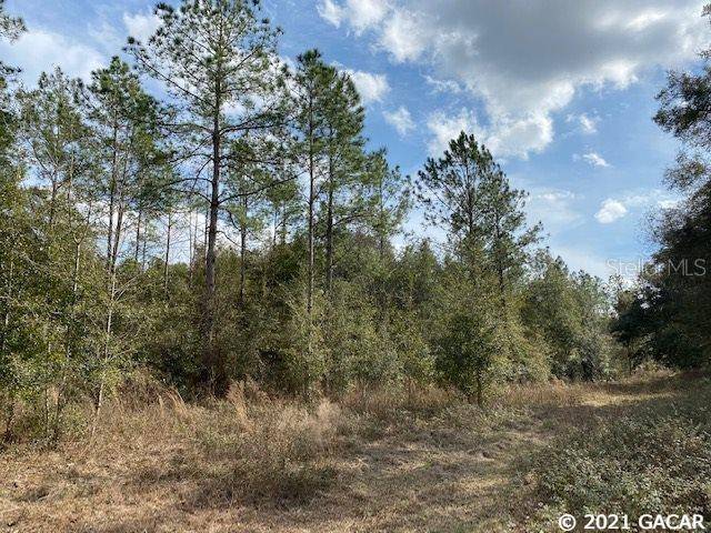 Trenton, FL 32693,000 SE CO ROAD 337