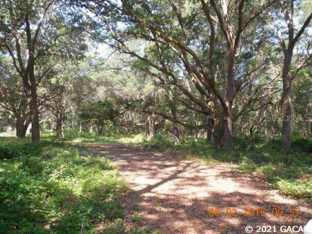 Melrose, FL 32666,TBD State Road 26