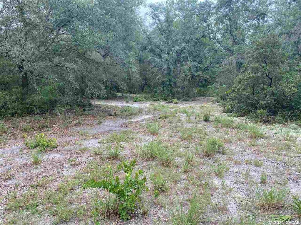 Melrose, FL 32666,000 Brushhill Ln & Darwood St