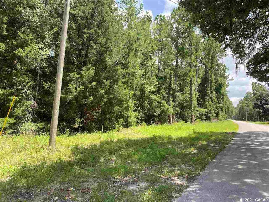 Williston, FL 32696,Parcel 28-12-18 -04215-000-00