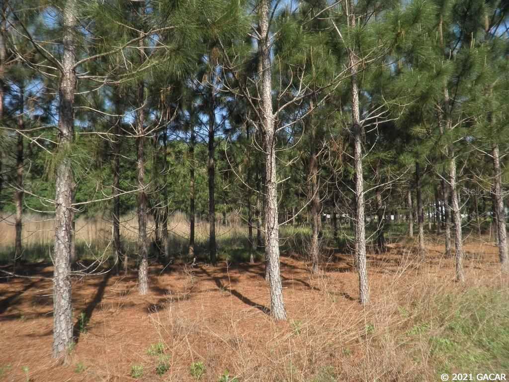 High Springs, FL 32643,XX NW Vacant lot