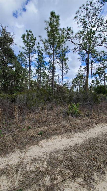 Williston, FL 32696,0000 NE 64TH ST