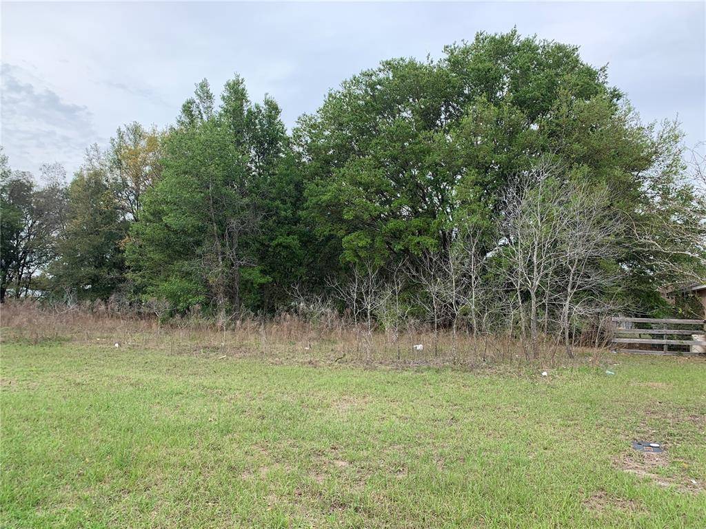 Ocala, FL 34473,TBD MARION OAKS TRL