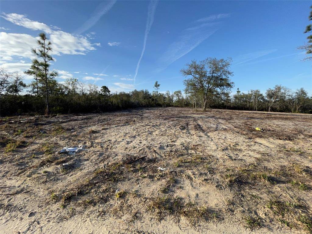 Bronson, FL 32621,LOT 20 NE 65TH ST