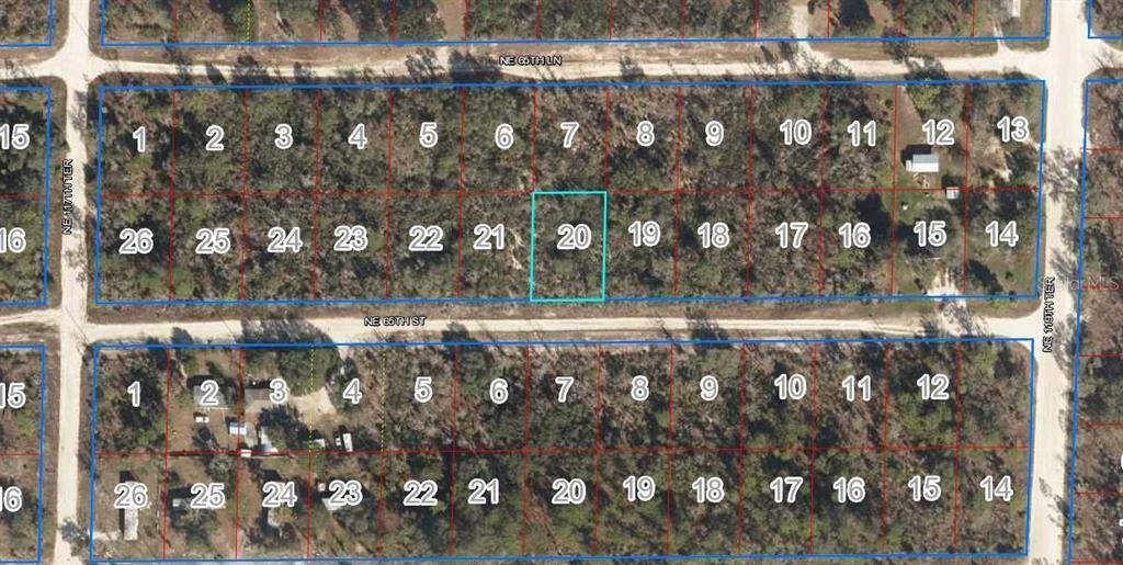 Bronson, FL 32621,LOT 20 NE 65TH ST