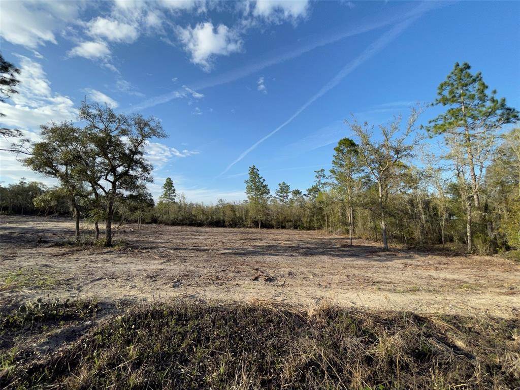 Bronson, FL 32621,LOT 19 NE 65TH ST