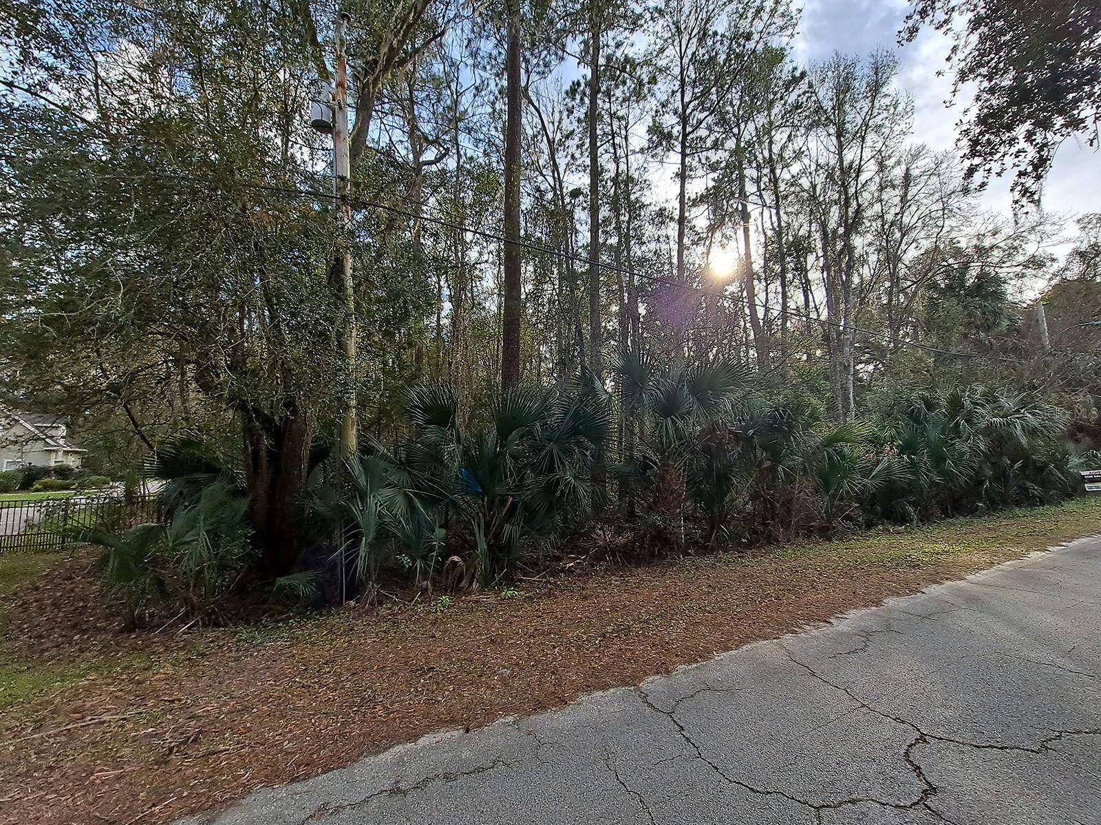 Micanopy, FL 32667,00 TUSCAWILLA RD