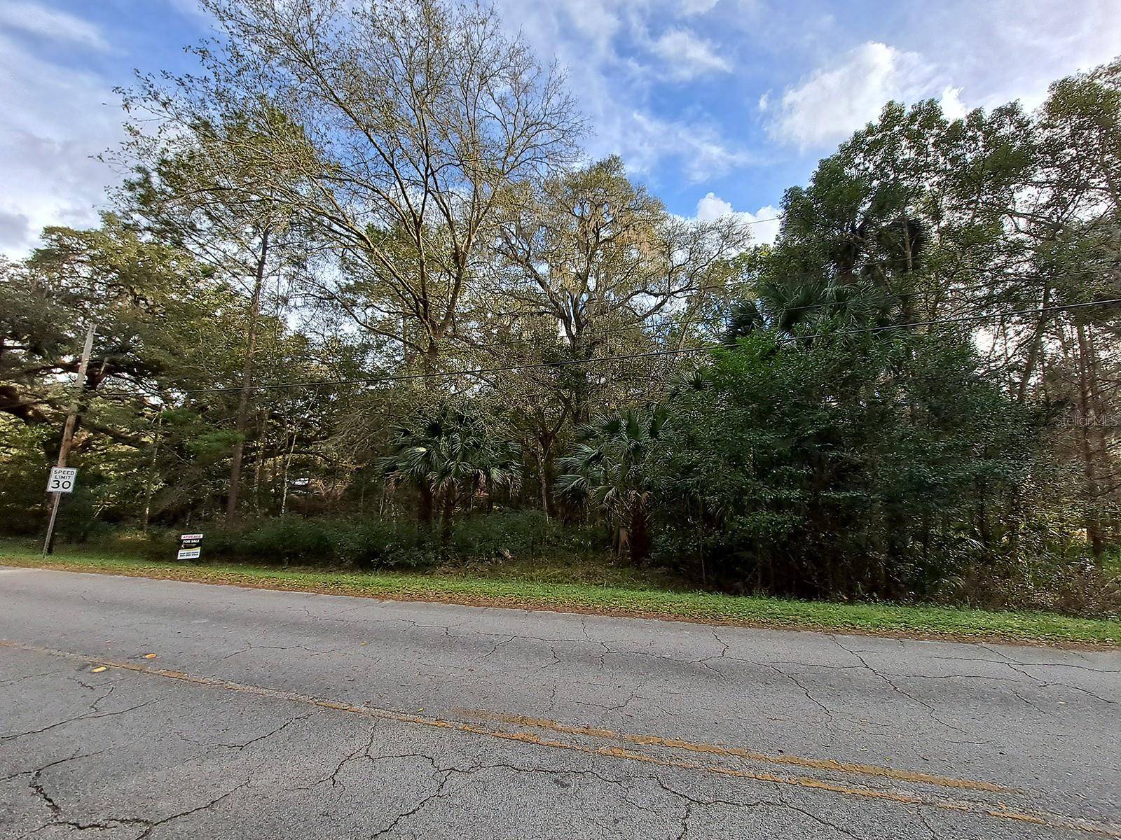 Micanopy, FL 32667,00 TUSCAWILLA RD