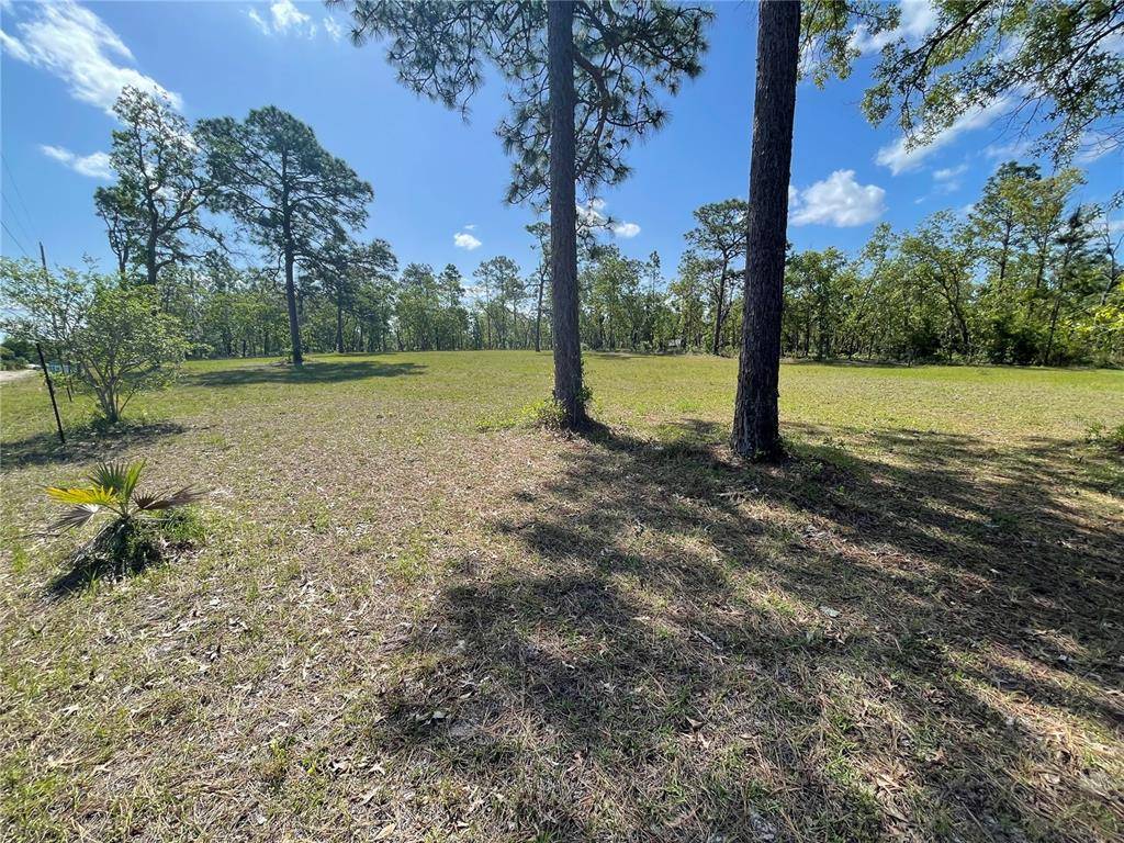 Keystone Heights, FL 32656,00 BUCKNELL AVE