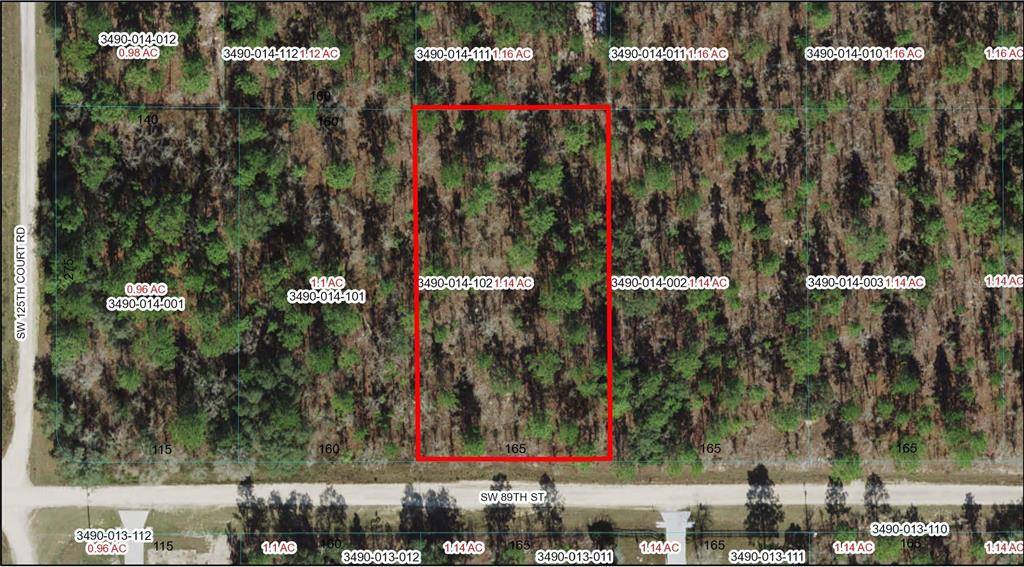 Dunnellon, FL 34432,0000 SW 89TH ST #Lot 2