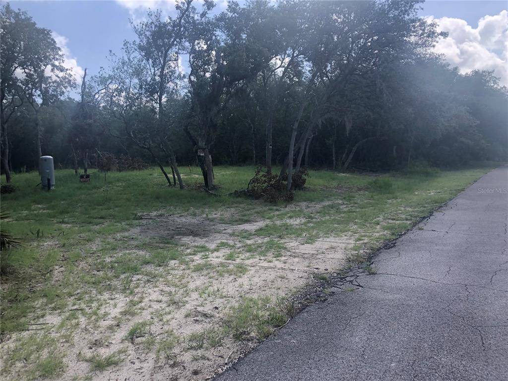 Trenton, FL 32693,Lot 15 RIVERVIEW RD