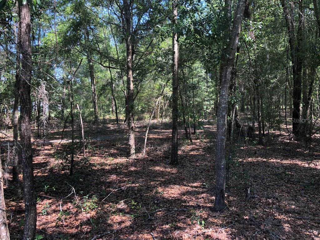 High Springs, FL 32643,Lot 6 NE 54TH PL