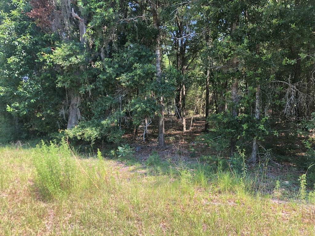 High Springs, FL 32643,Lot 6 NE 54TH PL