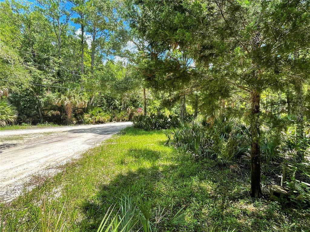 Steinhatchee, FL 32359,15 SW 719 ST