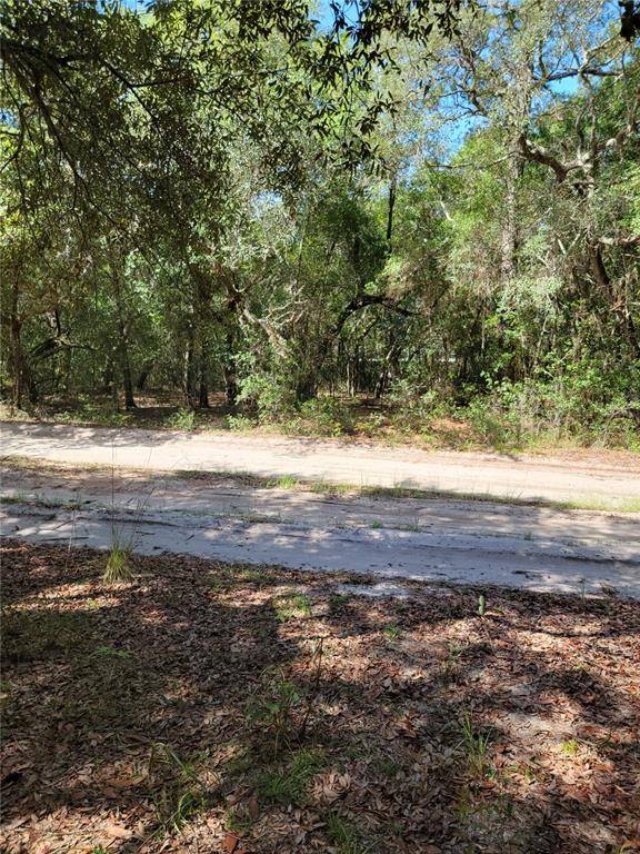 Keystone Heights, FL 32656,6361 CASCADE DR