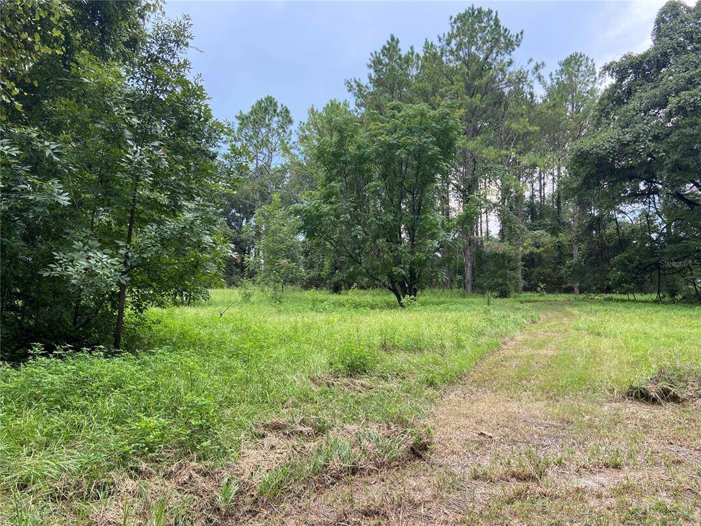 High Springs, FL 32643,00 NW 257TH TER