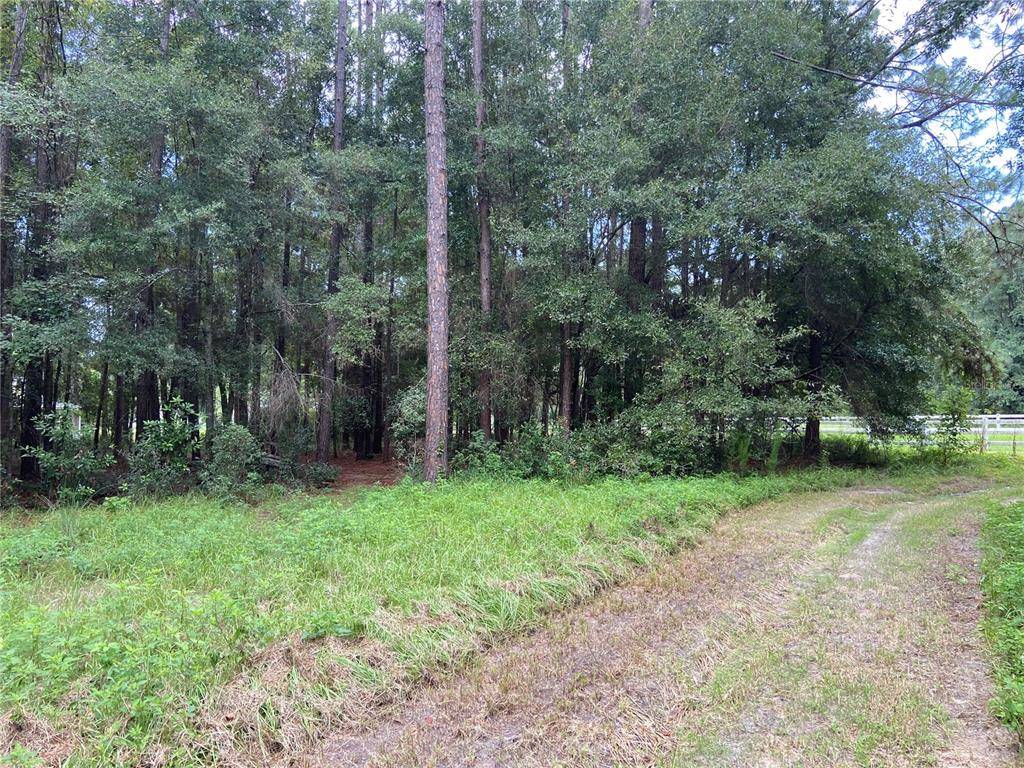 High Springs, FL 32643,000 NW 257TH TER