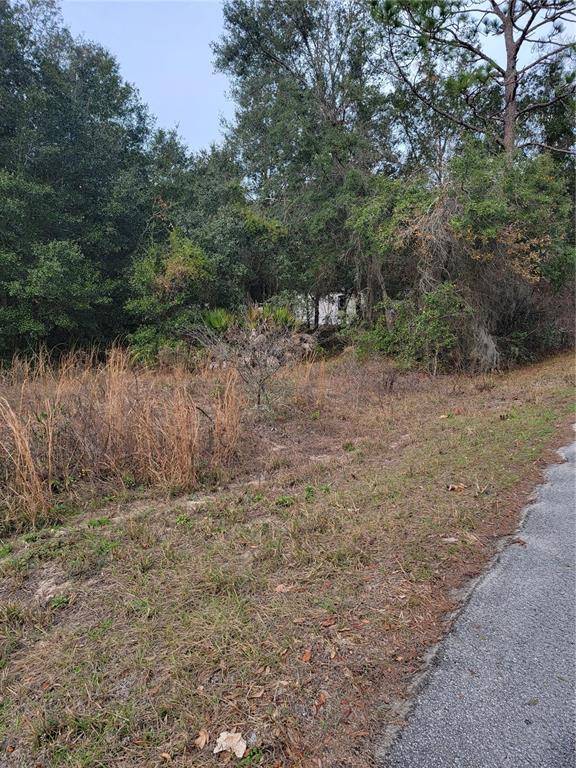 Dunnellon, FL 34432,00 SW 112 AVE