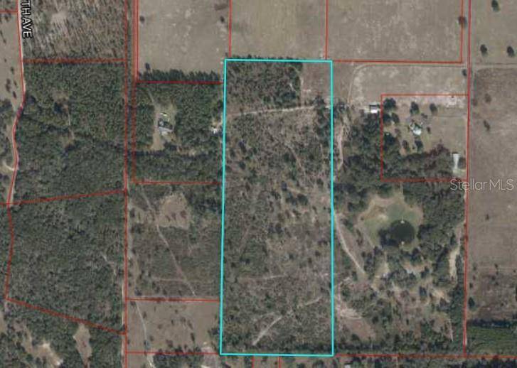 Williston, FL 32696,TBD NE 75TH ST