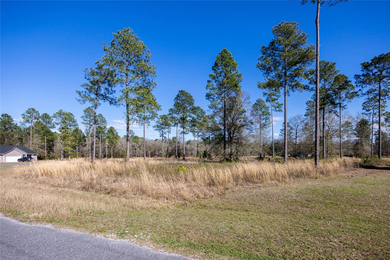 Lake Butler, FL 32054,LOT #8 SE 161ST LN