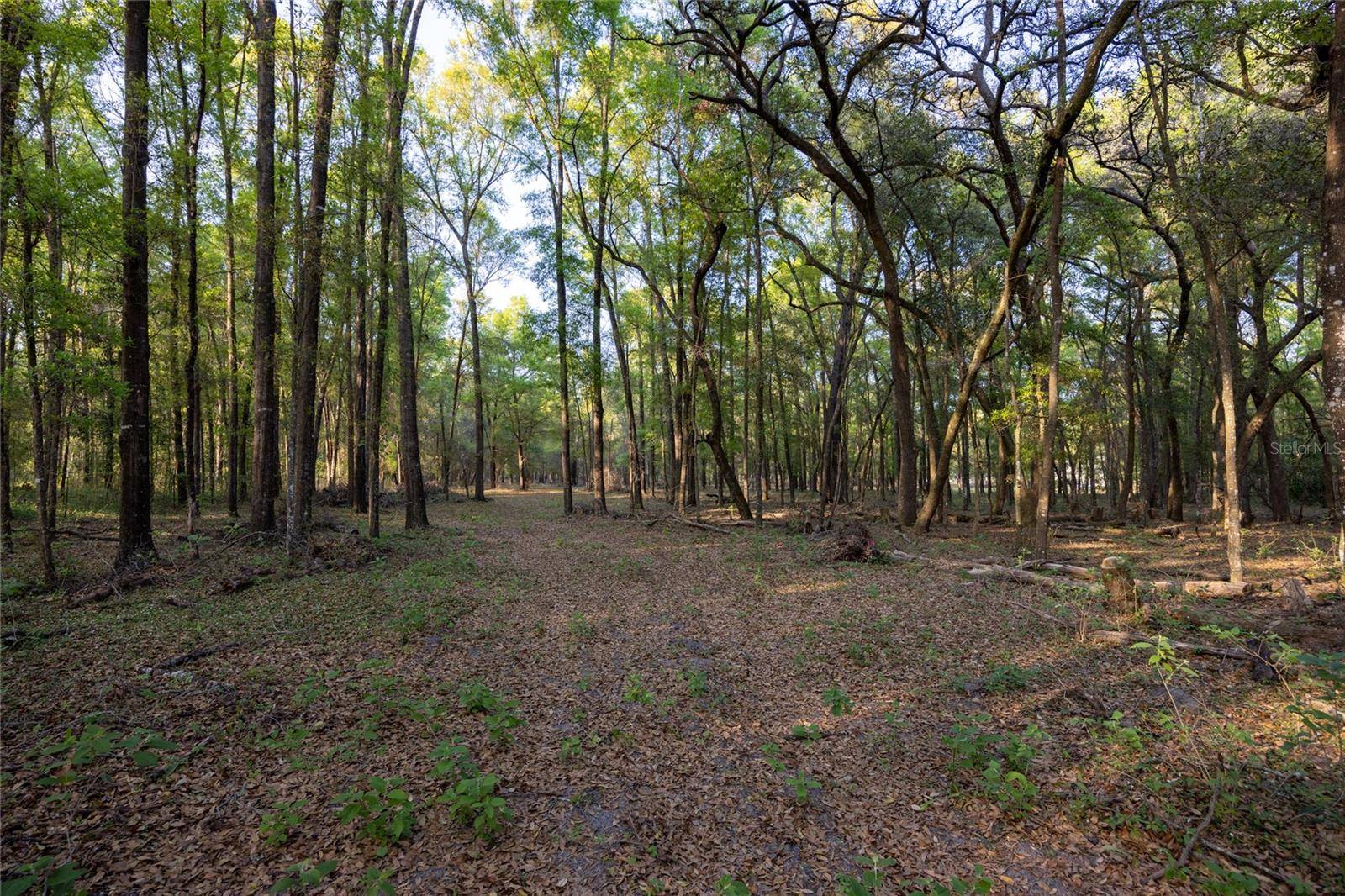 High Springs, FL 32643,Lot 2 NW 142ND AVE