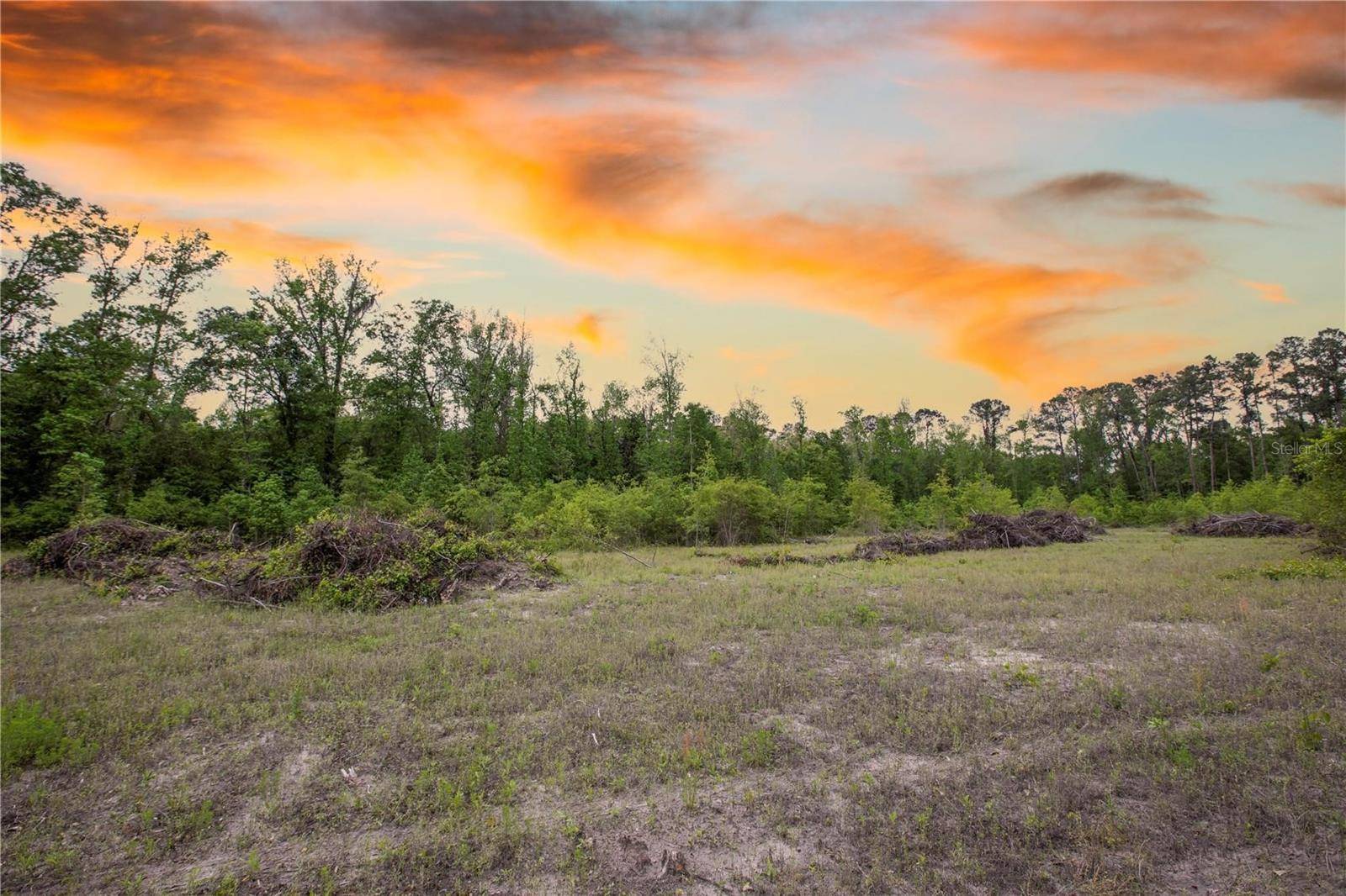 Lake Butler, FL 32054,LOT C SW 109TH RD