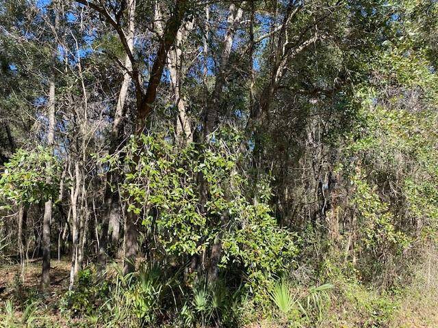 Micanopy, FL 32667,SW 3RD ST