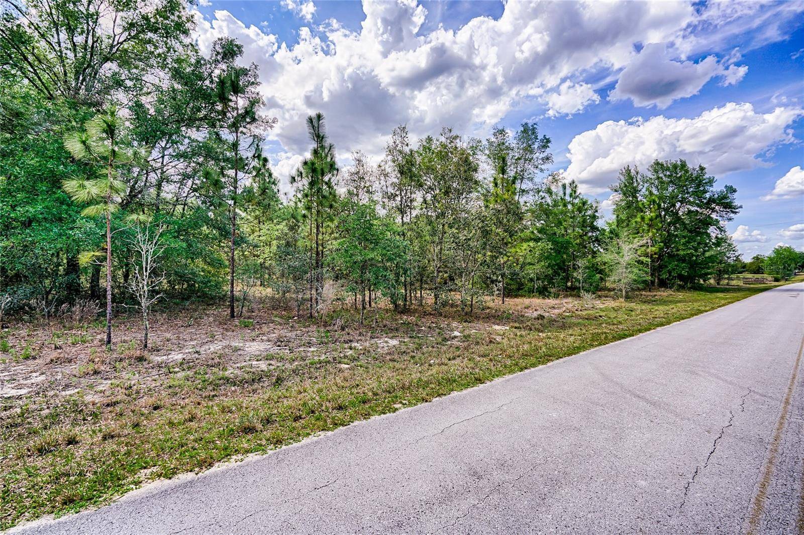 Morriston, FL 32668,TBD SE 194TH AVE