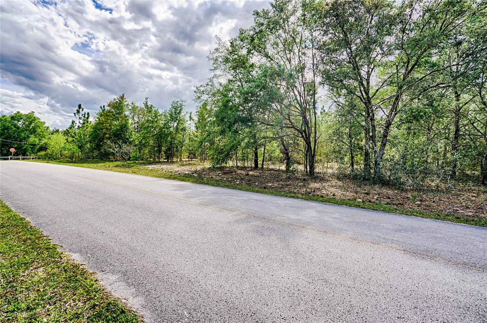 Morriston, FL 32668,TBD SE 194TH AVE