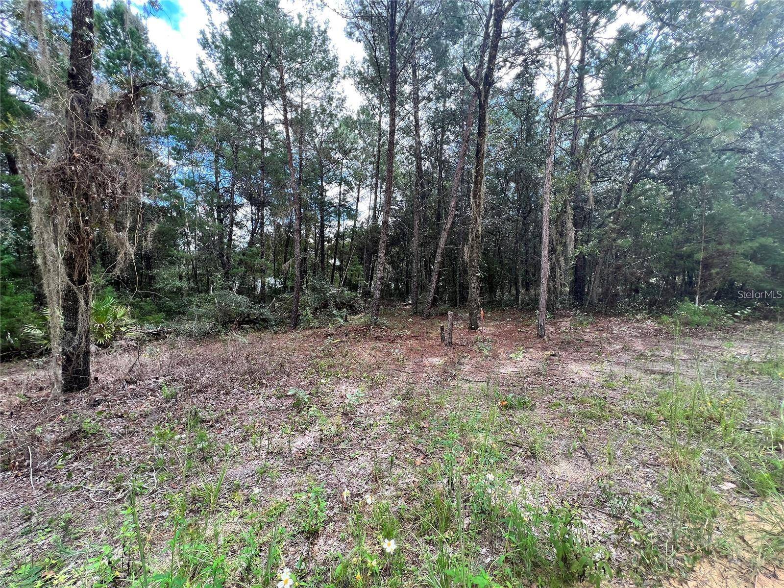 Interlachen, FL 32148,TBD DEL MONACO AVE