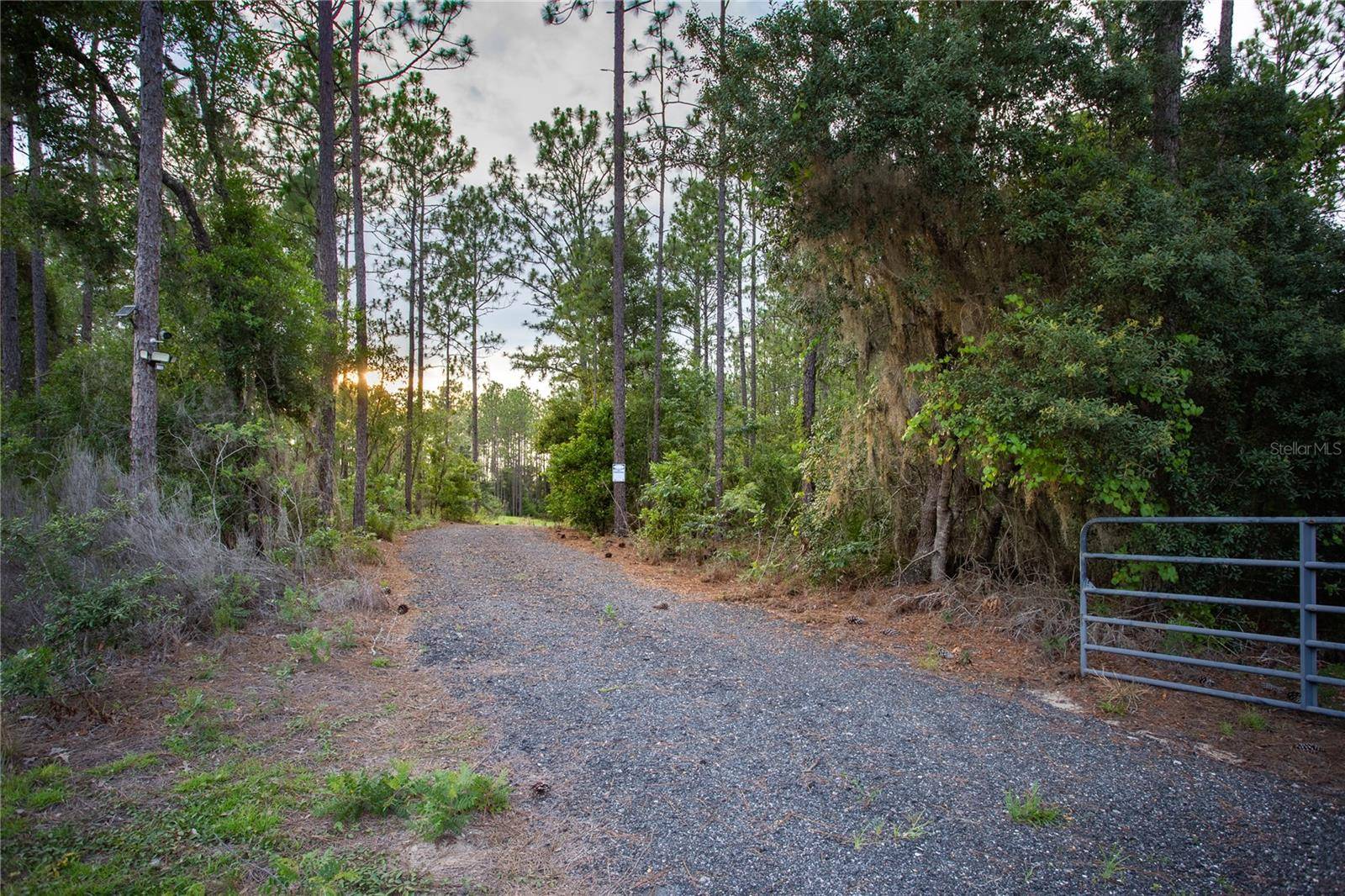 Archer, FL 32618,0 NE 91ST CT