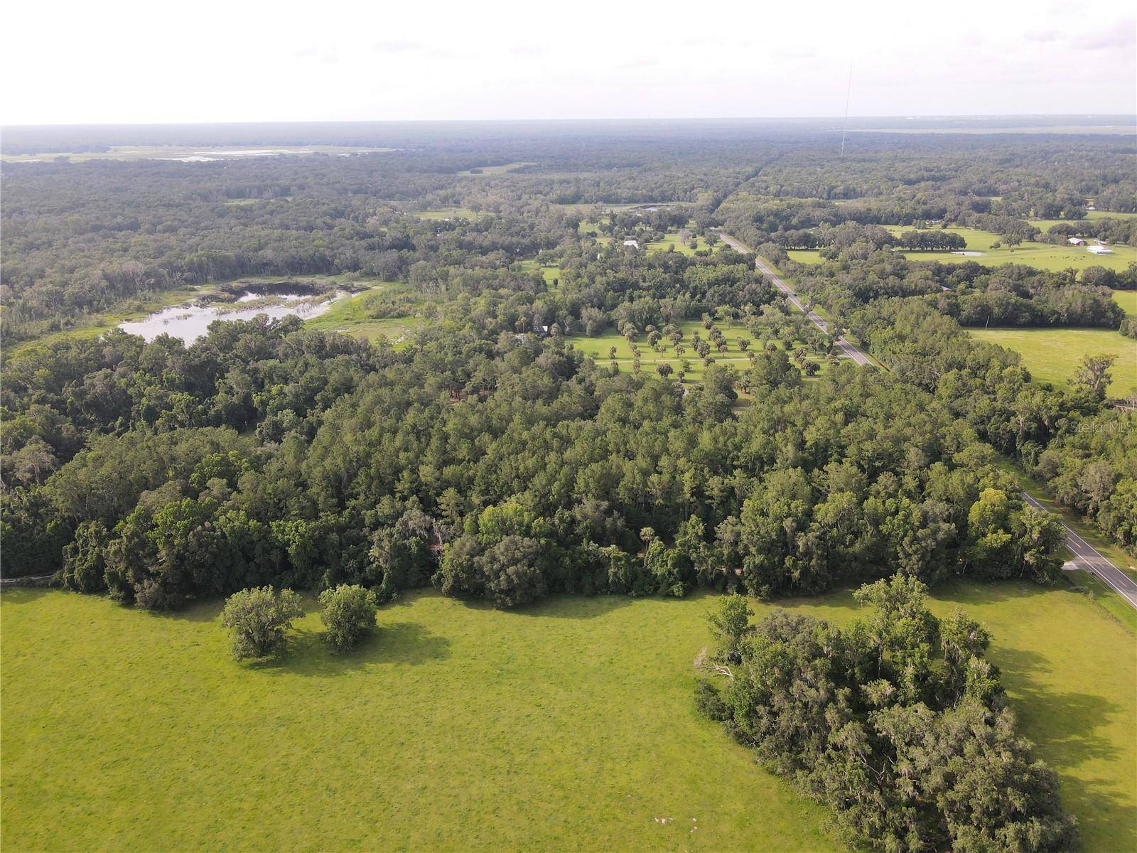 Micanopy, FL 32667,15208 SW WILLISTON RD