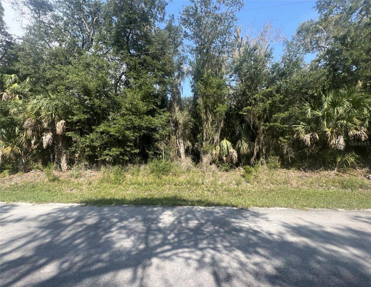 Crystal River, FL 34428,9533 N ALDER AVE