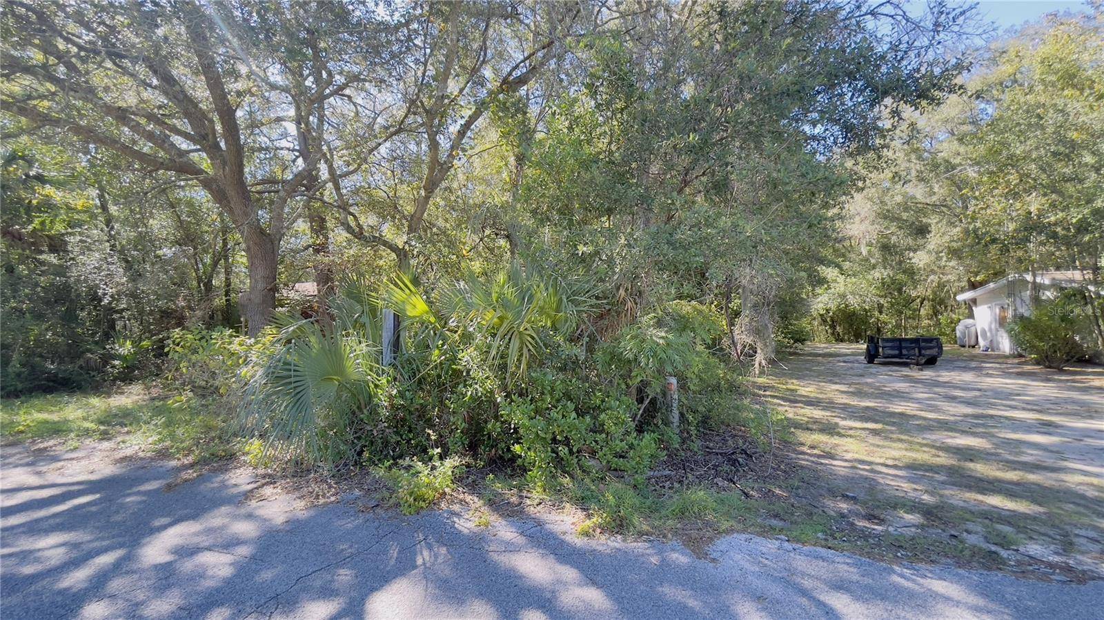 Williston, FL 32696,0 NE 157TH AVE