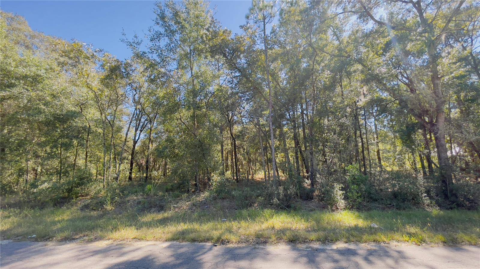 Williston, FL 32696,Lot 1 NE 15TH ST