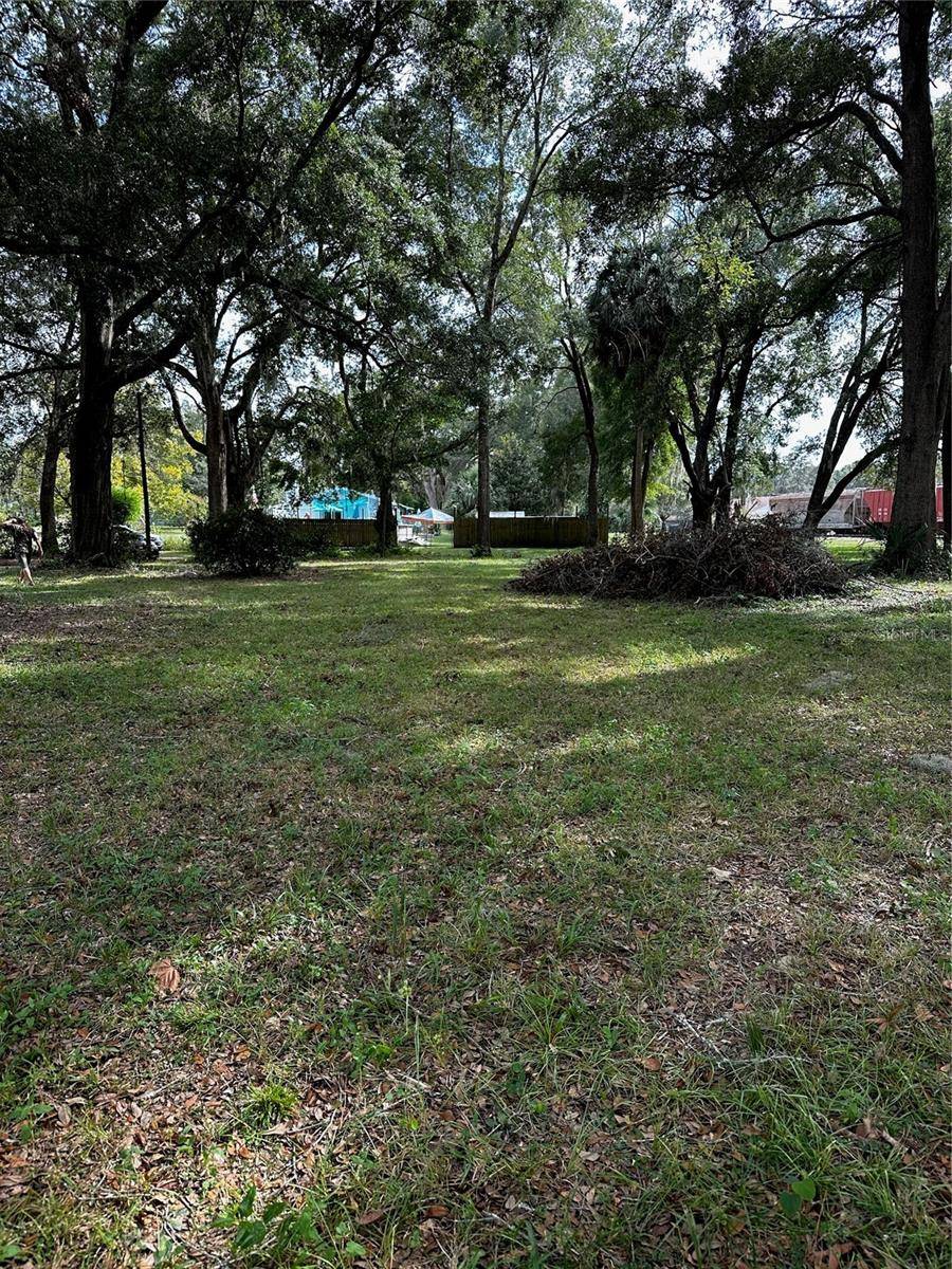 Newberry, FL 32669,0000 SW 252 ST